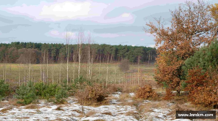 星空·综合体育官方网站奋勇争先，勇往直前！